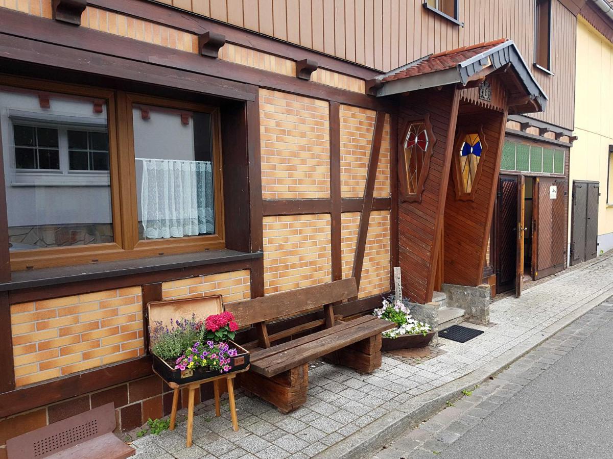 Ferienwohnung Am Kurpark 하셀펠데 외부 사진
